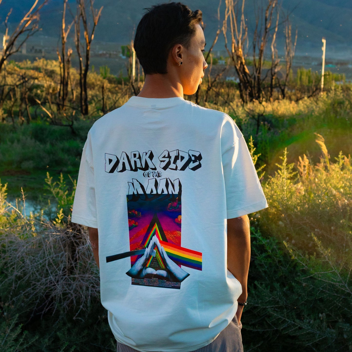Dark Side of the Moon